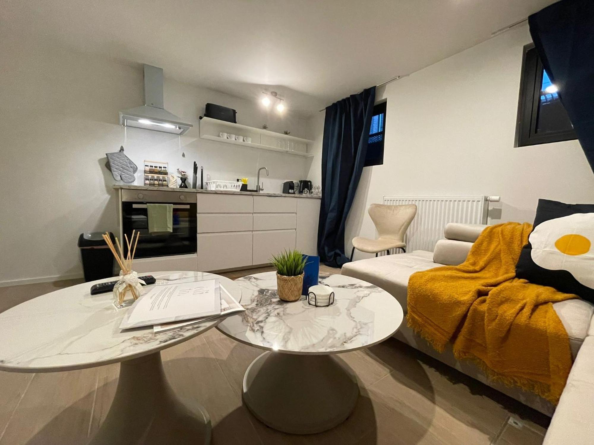 One Lux Basement Near Apartment Antwerp